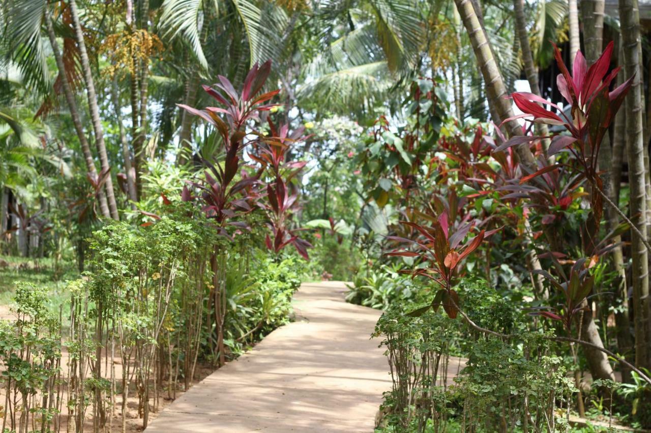 Mame Trees Hotel West End Exterior foto